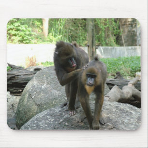 Spielerische, niedliche, kluge und freundliche Bab Mousepad