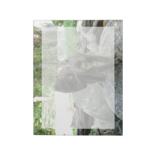 Spielerische, niedliche, kluge und freundliche Bab Notizblock