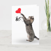 spielerische Tabby-Katze für 86. Geburtstagskarte