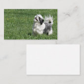 Spielerische Visitenkarte Shih Tzu (Vorne/Hinten)