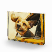 Spielerischer Hund Spaß an der Autofahrt Kunst dru Fotoblock (Rechts)