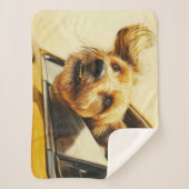 Spielerischer Hund Spaß an der Autofahrt Kunst dru Sherpadecke (Vorderseite)