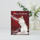 Spielerisches Kätzchen Weihnachten (Stehend Vorderseite)
