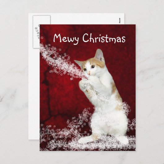 Spielerisches Kätzchen Weihnachten (Vorne/Hinten)