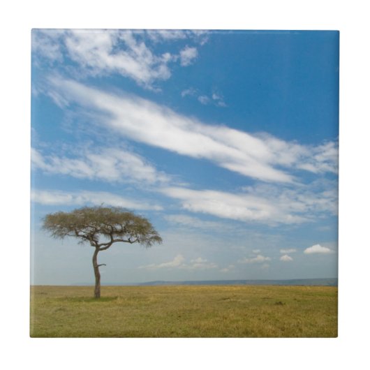 Spielfahrzeug auf offenen afrikanischen Ebenen Fliese (Vorderseite)