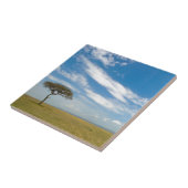 Spielfahrzeug auf offenen afrikanischen Ebenen Fliese (Seite)