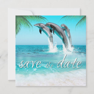 SPIELFÄLTIGE DOLPHINE TROPISCHES OZEAN Save the Da Date