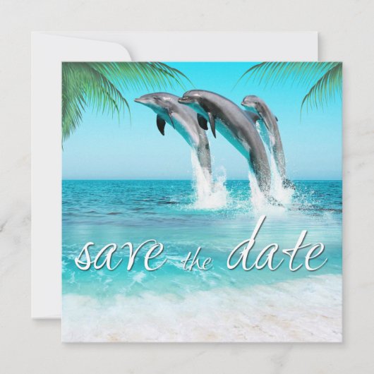 SPIELFÄLTIGE DOLPHINE TROPISCHES OZEAN Save the Da Save The Date (Vorderseite)