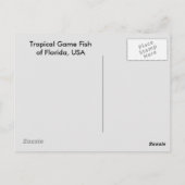 Spielfisch der tropischen Atlantikkarte Postkarte (Rückseite)