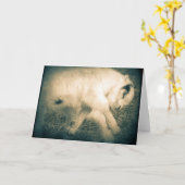 Spielgeld Karte (Gelbe Blume)