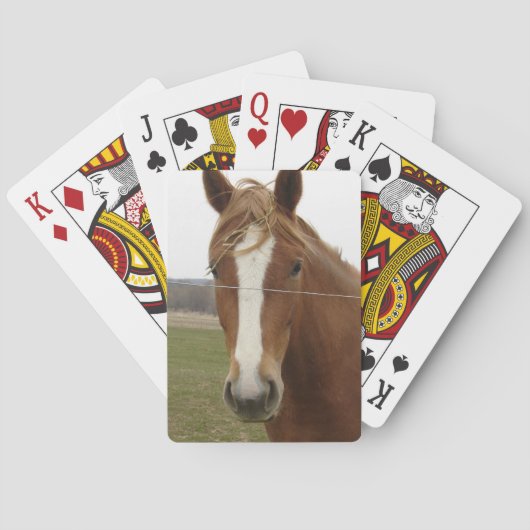 Spielkarten (Rückseite)