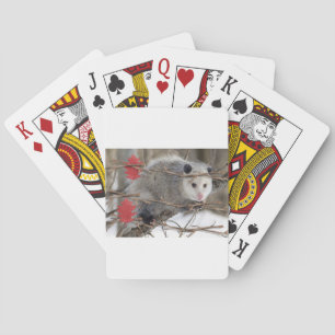 Spielkarten-Deck Opossum Natur Spielkarten