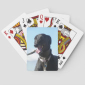 Spielkarten des Windhunds (4) (Rückseite)