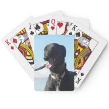 Spielkarten des Windhunds (4)