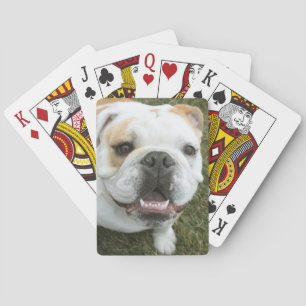 Spielkarten für Bulldogen