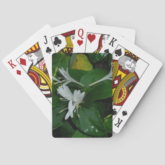 Spielkarten für Honeysuckle (Rückseite)