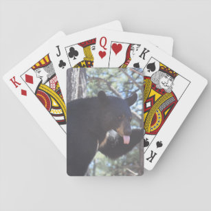 Spielkarten für schwarzen Bär