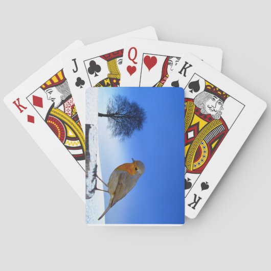 Spielkarten für Wildtiere (Rückseite)
