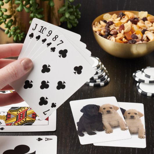 Spielkarten Labrador-Welpen (In Situ)