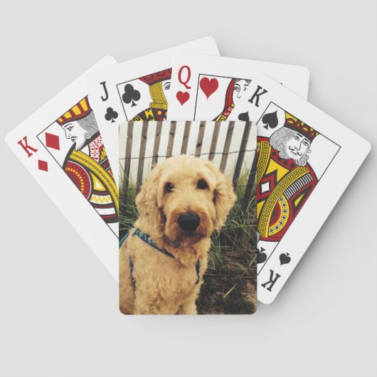 Spielkarten Murrays (Rückseite)