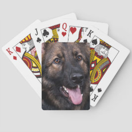 Spielkarten Schäferhund-Hundeelsässer