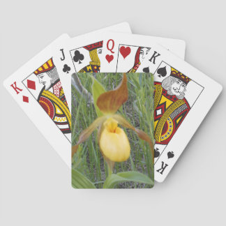 Spielkarten, Standard Spielkarten