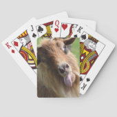 Spielkarten "Ziegengesicht" thematisiert (Rückseite)