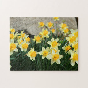 Spielpuzzle-Affodils Puzzle