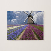 Spielpuzzle-Feld der Hyacinths Puzzle (Horizontal)