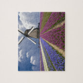 Spielpuzzle-Feld der Hyacinths Puzzle (Vertikal)