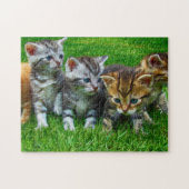 Spielpuzzle-Kätzchen Puzzle (Horizontal)