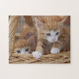 Spielpuzzle-Kätzchen Puzzle