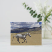 Spielraum Postkarte (Stehend Vorderseite)
