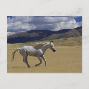 Spielraum Postkarte