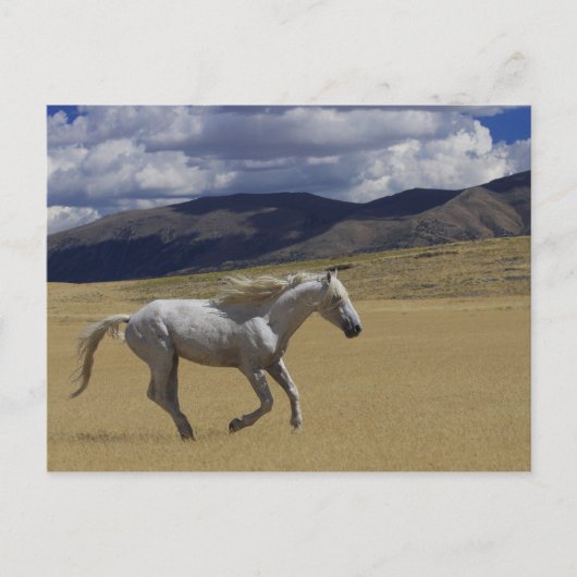 Spielraum Postkarte (Vorderseite)