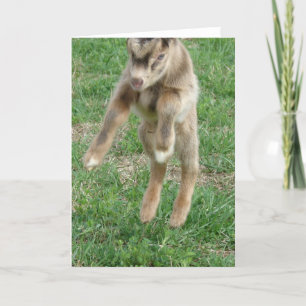 Spielspass für Freude Karte