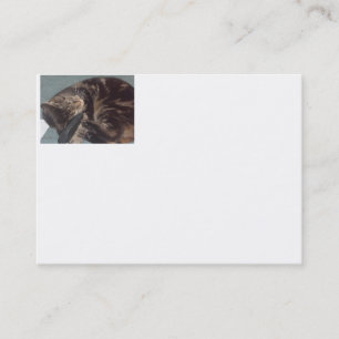 Spielvolle Dave Chubby White Business Cards -100 P Visitenkarte