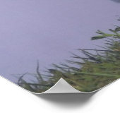 Spielzeug American Eskimo Dog Print Poster (Ecke)