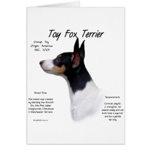 Spielzeug Fox Terrier Historiendesign