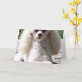 Spielzeug Poodle Grußkarten Karte (Gelbe Blume)