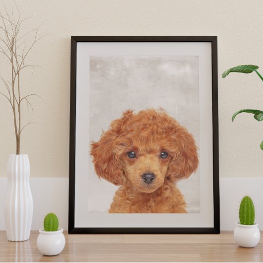 Spielzeug Poodle Poster