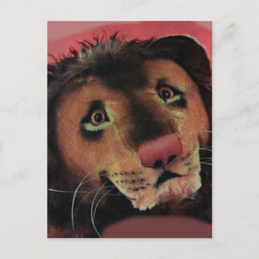 Spielzeuglionenkopf Postkarte (Vorderseite)