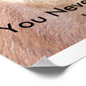 Spies Eyes Poster (Ecke)