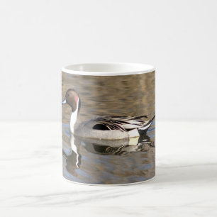 Spießente schwimmt in einem Teich Kaffeetasse