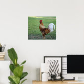 Spiffy, Rooster Poster (Heimbüro)