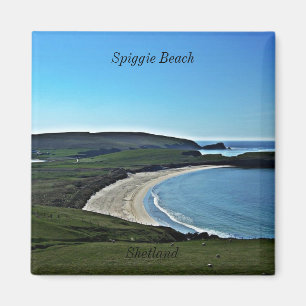 Spiggie Strand, die Shetlandinseln Magnet
