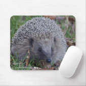 Spike Mousemat Mousepad (Mit Mouse)