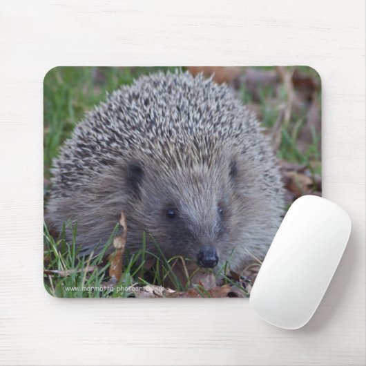 Spike Mousemat Mousepad (Mit Mouse)