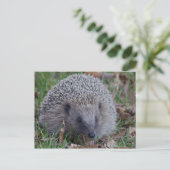 Spike Postcard Postkarte (Stehend Vorderseite)