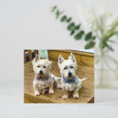 Spike und Polar Postcard. Postkarte (Stehend Vorderseite)